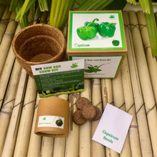 Load image into Gallery viewer, Sow and Grow DIY Gardening Seed Starter Grow Kit of Capsicum (Grow it Yourself Vegetable Kit)