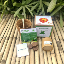 Load image into Gallery viewer, Sow and Grow DIY Gardening Kit of Cosmos Flowers