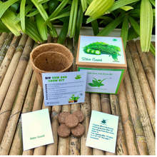 Load image into Gallery viewer, Sow and Grow DIY Gardening Kit of Karela/ Bitter Gourd (Grow it Yourself Vegetable Kit)