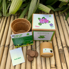 Load image into Gallery viewer, Sow and Grow DIY Gardening Kit of Vinca Flowers