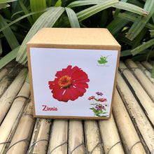 Load image into Gallery viewer, Sow and Grow DIY Gardening Kit of Zinnia Flowers