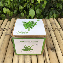 Load image into Gallery viewer, Sow and Grow DIY Gardening Kit of Coriander / Dhaniya (Grow it Yourself Herb Kit)
