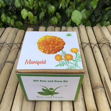 Load image into Gallery viewer, Sow and Grow DIY Gardening Grow Kit of Marigold (Grow it Yourself Flower Kit)