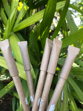 Load image into Gallery viewer, Sow and Grow Plantable 2+2 Combo : 2 Seed Pencils + 2 Seed Paper Pens in a Re-usable Stationary Box