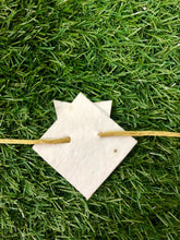 Load image into Gallery viewer, Tiger :Kids 3-in-1 Bookmark Plantable Rakhi