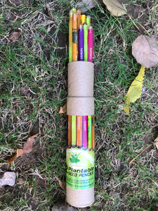 Sow and Grow 12 Plantable Seed Pencils in a Re-usable Pencil Box | For Writing, Drawing, Sketching