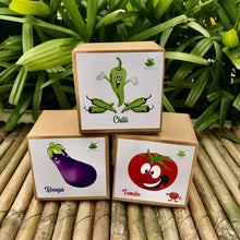 Load image into Gallery viewer, DIY Gardening 3 Vegetable Kits | Tomato + Brinjal + Chilli
