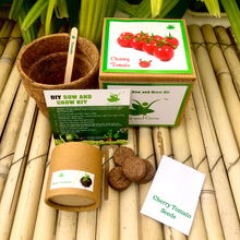 Load image into Gallery viewer, Sow and Grow DIY Gardening Seed Starter Grow Kit of Cherry Tomato (Grow it Yourself Vegetable Kit)
