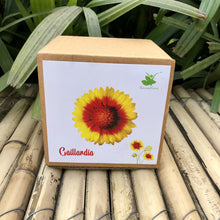 Load image into Gallery viewer, Sow and Grow DIY Gardening Kit of Gaillardia Flowers
