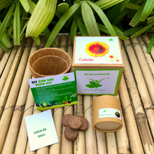 Load image into Gallery viewer, Sow and Grow DIY Gardening Kit of Gaillardia Flowers
