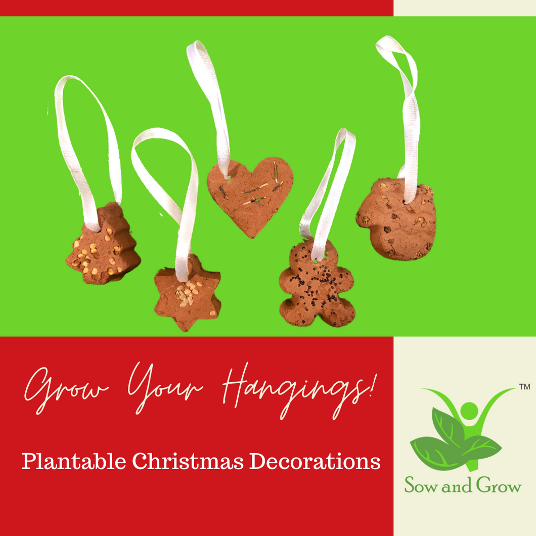 Christmas Special: Plantable Christmas Hanging Ornaments Decoration with 5 Types of Seeds