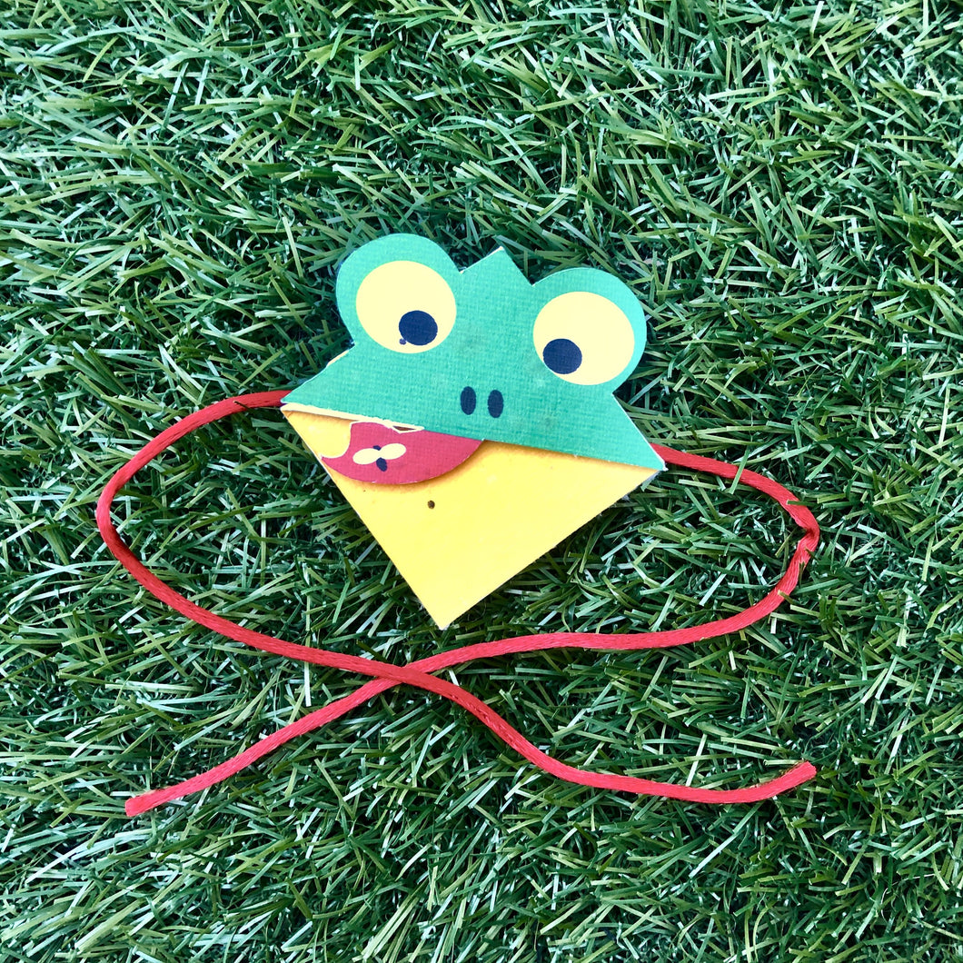 Frog :Kids 3-in-1 Bookmark Plantable Rakhi