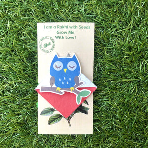 Frog :Kids 3-in-1 Bookmark Plantable Rakhi