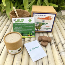 Load image into Gallery viewer, Independence Day Special Gardening Kit of Rama Tulsi / Holy Basil (Grow it Yourself Kit)
