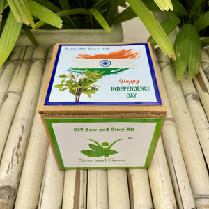 Independence Day Special Gardening Kit of Rama Tulsi / Holy Basil (Grow it Yourself Kit)