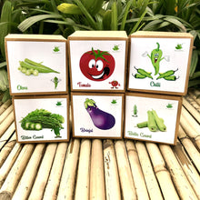 Load image into Gallery viewer, DIY Gardening 6 Vegetable Kits | Brinjal + Okra + Chilli + Tomato + Bitter Gourd + Bottle Gourd

