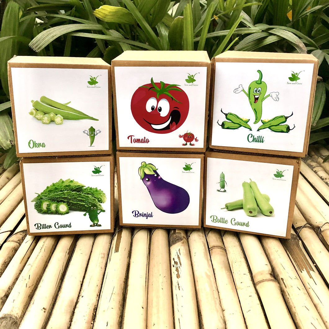 DIY Gardening 6 Vegetable Kits | Brinjal + Okra + Chilli + Tomato + Bitter Gourd + Bottle Gourd