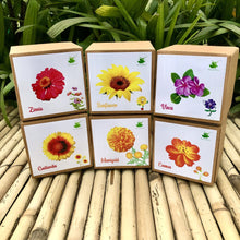 Load image into Gallery viewer, DIY Gardening 6 Flower Kits Combo | Marigold + Sunflower + Cosmos + Vinca + Gaillardia +Zinnia
