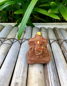 Plantable Seed Ganesha with Tulsi Seeds: DIY Grow Kit