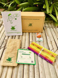 Brown Box Collection: 10 Seed Pencils + 1 Seed Diary + 1 Seed ball