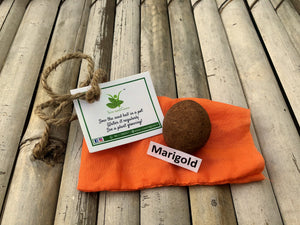 Diwali Brown Box Hamper:  Plantable Diwali Themed Diary + Plantable Mini Notepad + Organic Cow Dung Diya Set of 8 + 1 Seed Ball + 5 Plantable Pens