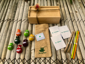 The Beej Box: 10 Types of Seeds in a Wooden Box