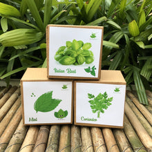 Load image into Gallery viewer, DIY Gardening Herb Kits | Mint + Coriander + Italian Basil
