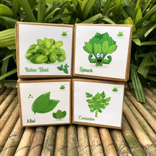 Load image into Gallery viewer, DIY Gardening 4 Greens Kits  | Mint + Coriander + Italian Basil + Spinach
