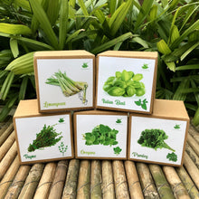 Load image into Gallery viewer, DIY Gardening Exotic Herbs Kits | Lemongrass + Italian Basil +Oregano + Thyme + Parsley
