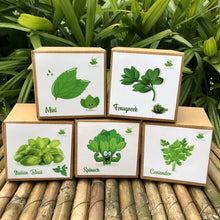 Load image into Gallery viewer, DIY Gardening All Greens Kits | Italian Basil + Spinach + Coriander + Mint + Fenugreek
