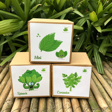 Load image into Gallery viewer, DIY Gardening Leafy Kits | Spinach + Coriander + Mint
