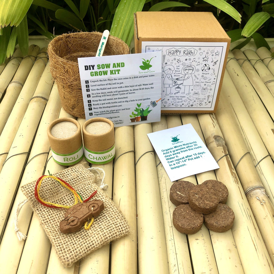 Car: Clay Rakhi with Marigold Seeds | Combo with a DIY Gardening Kit