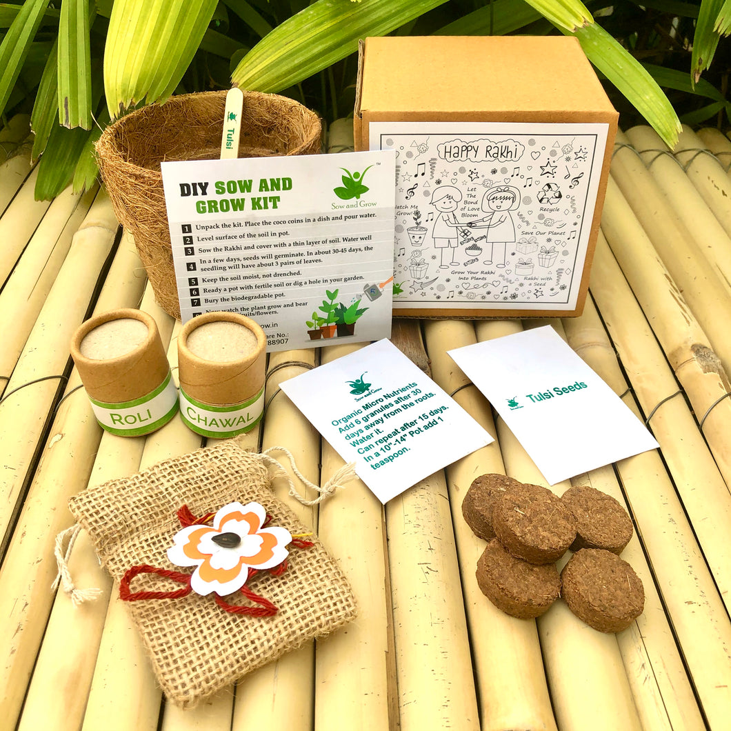 Seed Paper Rakhi: Rakhi with Seeds | Combo with a DIY Gardening Kit