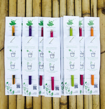 Load image into Gallery viewer, Sow and Grow Plantable Recycled Seed Pencils (Pack of 10 Single Pencils) - Gift Pack
