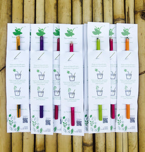 Sow and Grow Plantable Recycled Seed Pencils (Pack of 10 Single Pencils) - Gift Pack