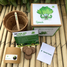 Load image into Gallery viewer, DIY Gardening Leafy Kits | Spinach + Coriander + Mint
