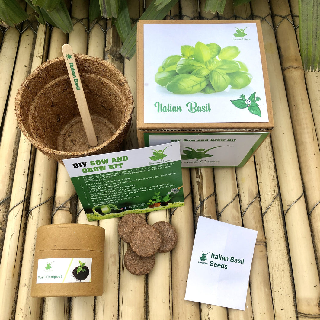 Sow and Grow DIY Gardening Kit of Italian Basil Genovese (Grow it Yourself Herb Kit)