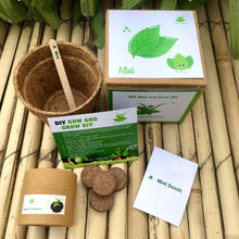Load image into Gallery viewer, DIY Gardening 4 Greens Kits  | Mint + Coriander + Italian Basil + Spinach

