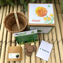 Load image into Gallery viewer, DIY Gardening 6 Flower Kits Combo | Marigold + Sunflower + Cosmos + Vinca + Gaillardia +Zinnia
