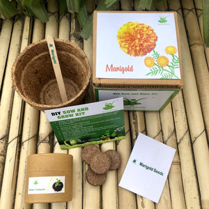 DIY Gardening 6 Flower Kits Combo | Marigold + Sunflower + Cosmos + Vinca + Gaillardia +Zinnia