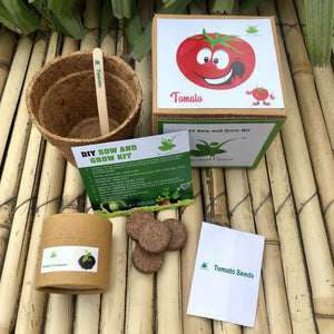 DIY Gardening 4 Vegetable Kits | Brinjal + Okra + Chilli + Tomato
