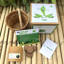 Load image into Gallery viewer, DIY Gardening 4 Vegetable Kits | Brinjal + Okra + Chilli + Tomato
