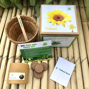 Sow and Grow DIY Gardening Kit of Sunflower (Grow it Yourself Flower Kit)