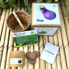 Load image into Gallery viewer, Sow and Grow DIY Gardening Kit of Brinjal (Grow it Yourself Vegetable Kit)
