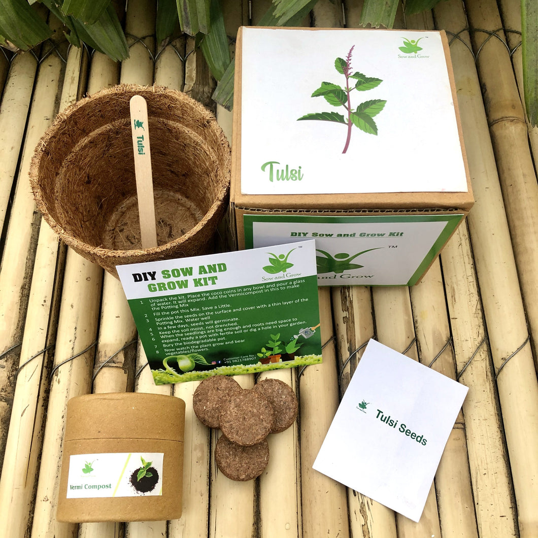 Sow and Grow DIY Gardening Kit of Rama Tulsi / Holy Basil (Grow it Yourself Kit)