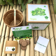 Load image into Gallery viewer, DIY Gardening Exotic Herbs Kits | Lemongrass + Italian Basil +Oregano + Thyme + Parsley
