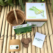 Load image into Gallery viewer, DIY Gardening Exotic Herbs Kits | Lemongrass + Italian Basil +Oregano + Thyme + Parsley
