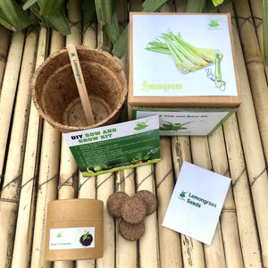 DIY Gardening Exotic Herbs Kits | Lemongrass + Italian Basil +Oregano + Thyme + Parsley