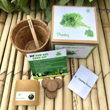 Load image into Gallery viewer, DIY Gardening Exotic Herbs Kits | Lemongrass + Italian Basil +Oregano + Thyme + Parsley
