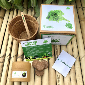 DIY Gardening Exotic Herbs Kits | Lemongrass + Italian Basil +Oregano + Thyme + Parsley